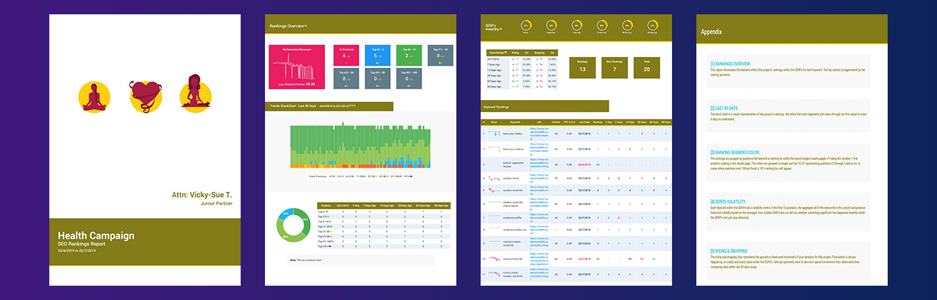 Branded PDF SEP Reports - Customized Colors and Logos